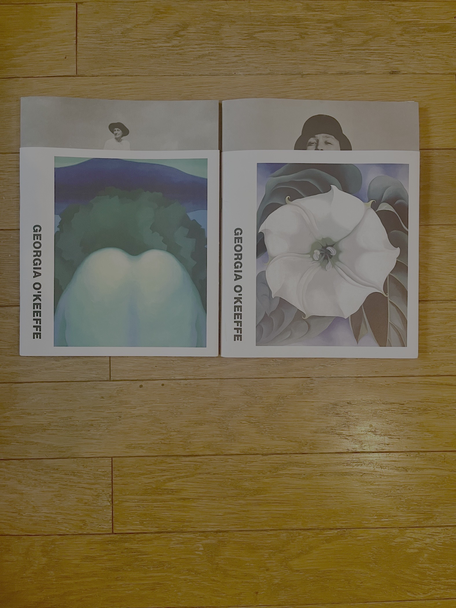 GEORGIA O'KEEFFE | OOO YY